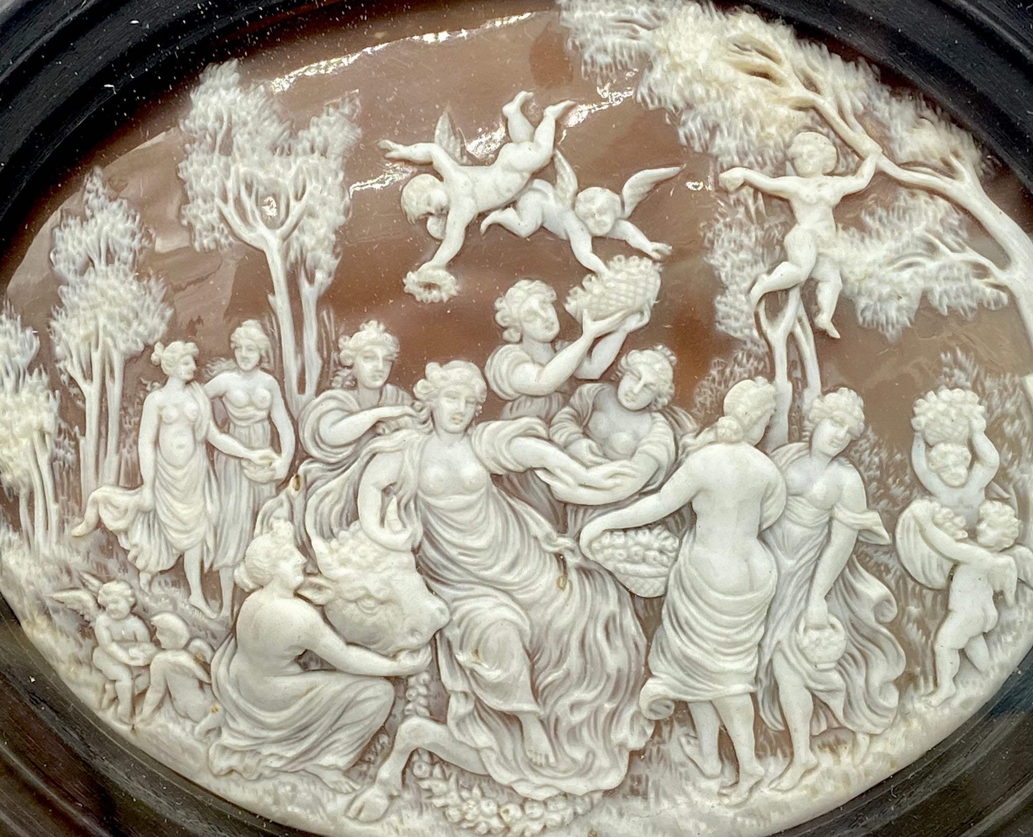 Carved Cameo Shell - PetitMusee