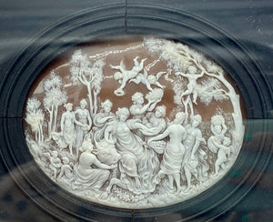 Carved Cameo Shell - PetitMusee